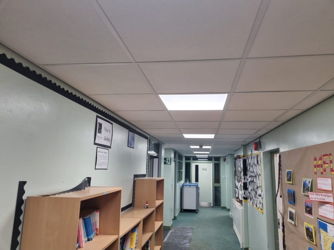 suspended ceilings ellesmere
