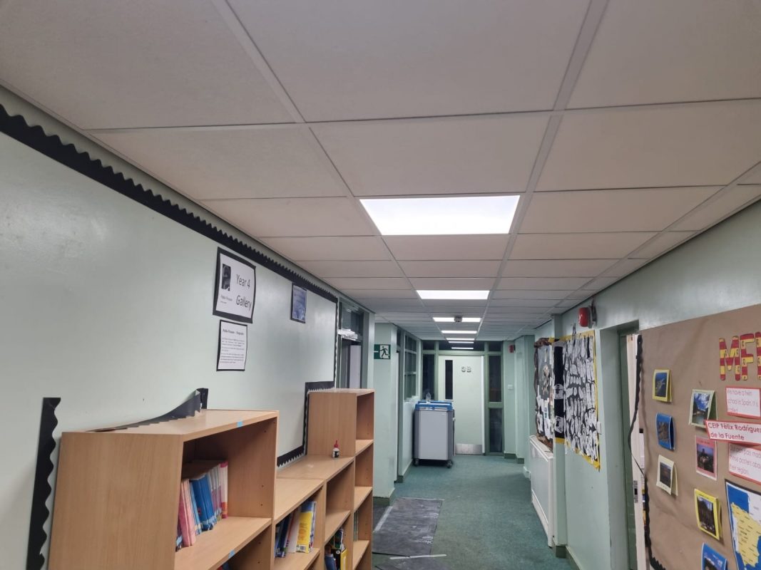suspended ceilings ellesmere